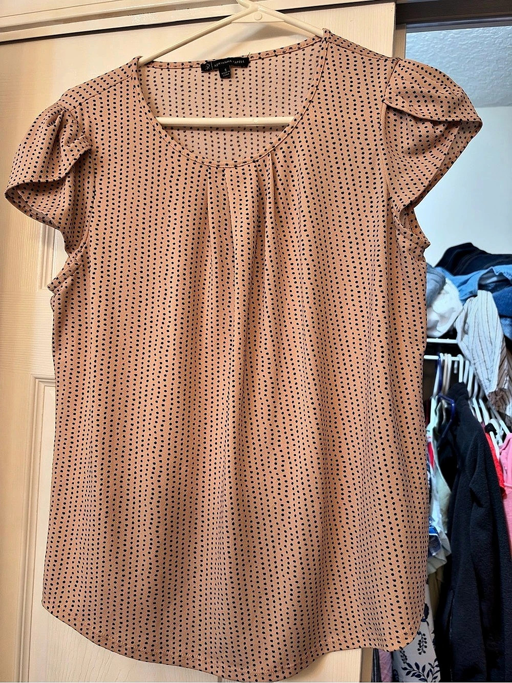 Adrianna Papell Polka Dot Short Sleeve Blouse in Pink & Black